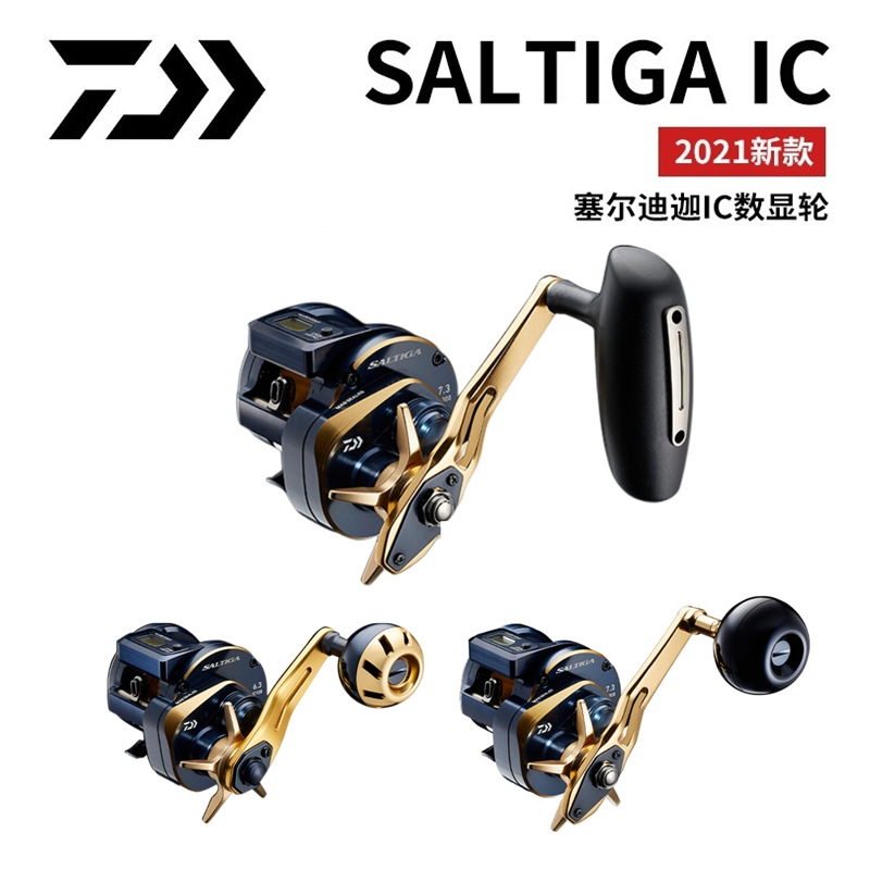 21 moulinets électriques japon - Baitcasting Reel avis et prix