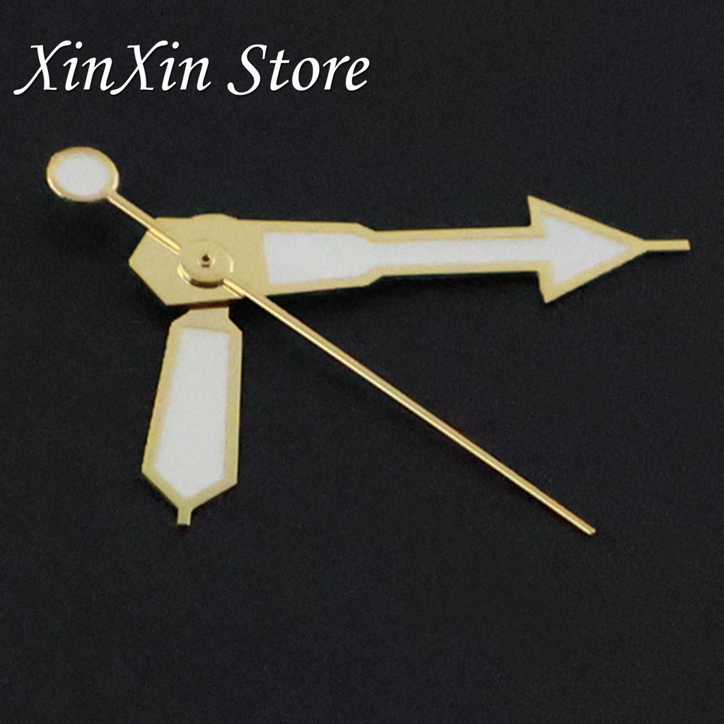 SKX-Aiguilles de montre Poquin - Reel Case avis et prix